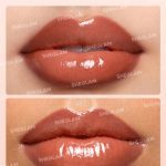 لیپ گلاس دو سر شیگلم لیپ رولز – رنگ SHEGLAM Lip Rules Liner & Gloss Pen By the book